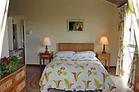 *** Hotel Columbus Heights Condominiums Ocho Rios Jamaica